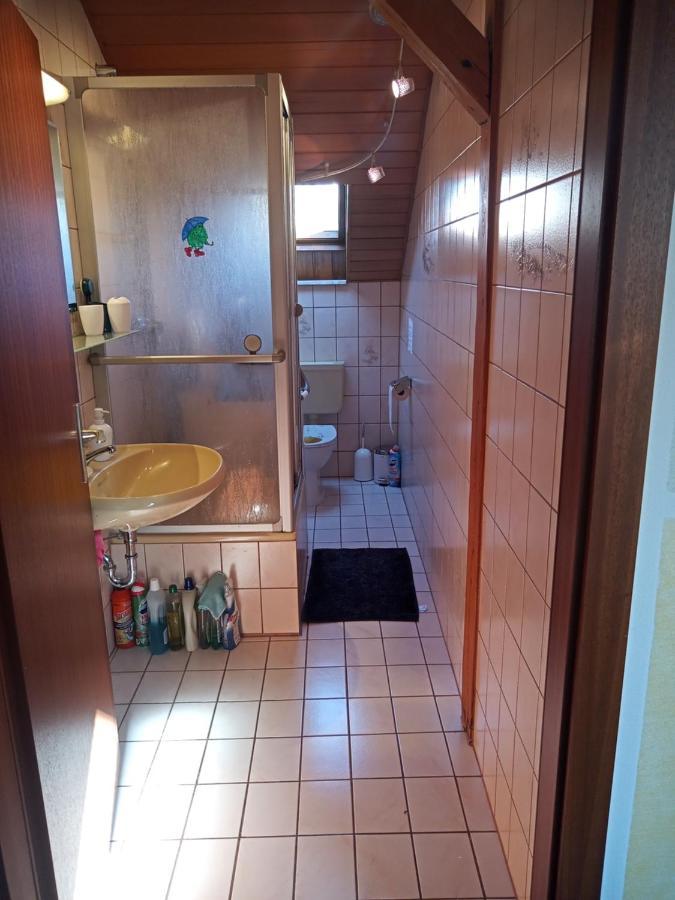 Wohnung Mit 2 - 3 Zimmern Ballenberg Ngoại thất bức ảnh