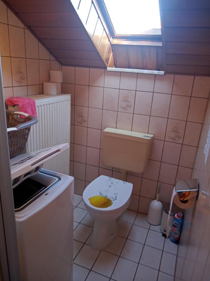 Wohnung Mit 2 - 3 Zimmern Ballenberg Ngoại thất bức ảnh