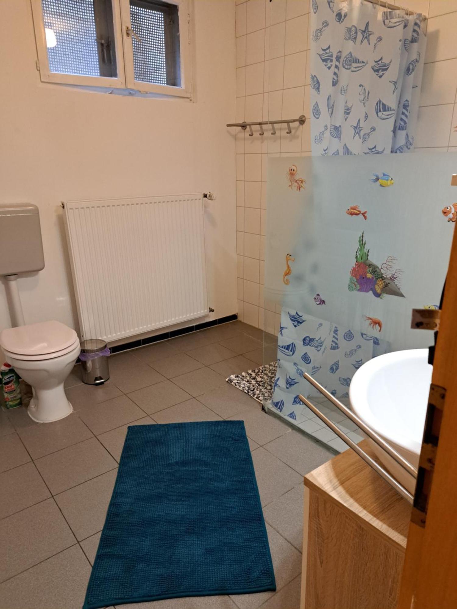 Wohnung Mit 2 - 3 Zimmern Ballenberg Ngoại thất bức ảnh