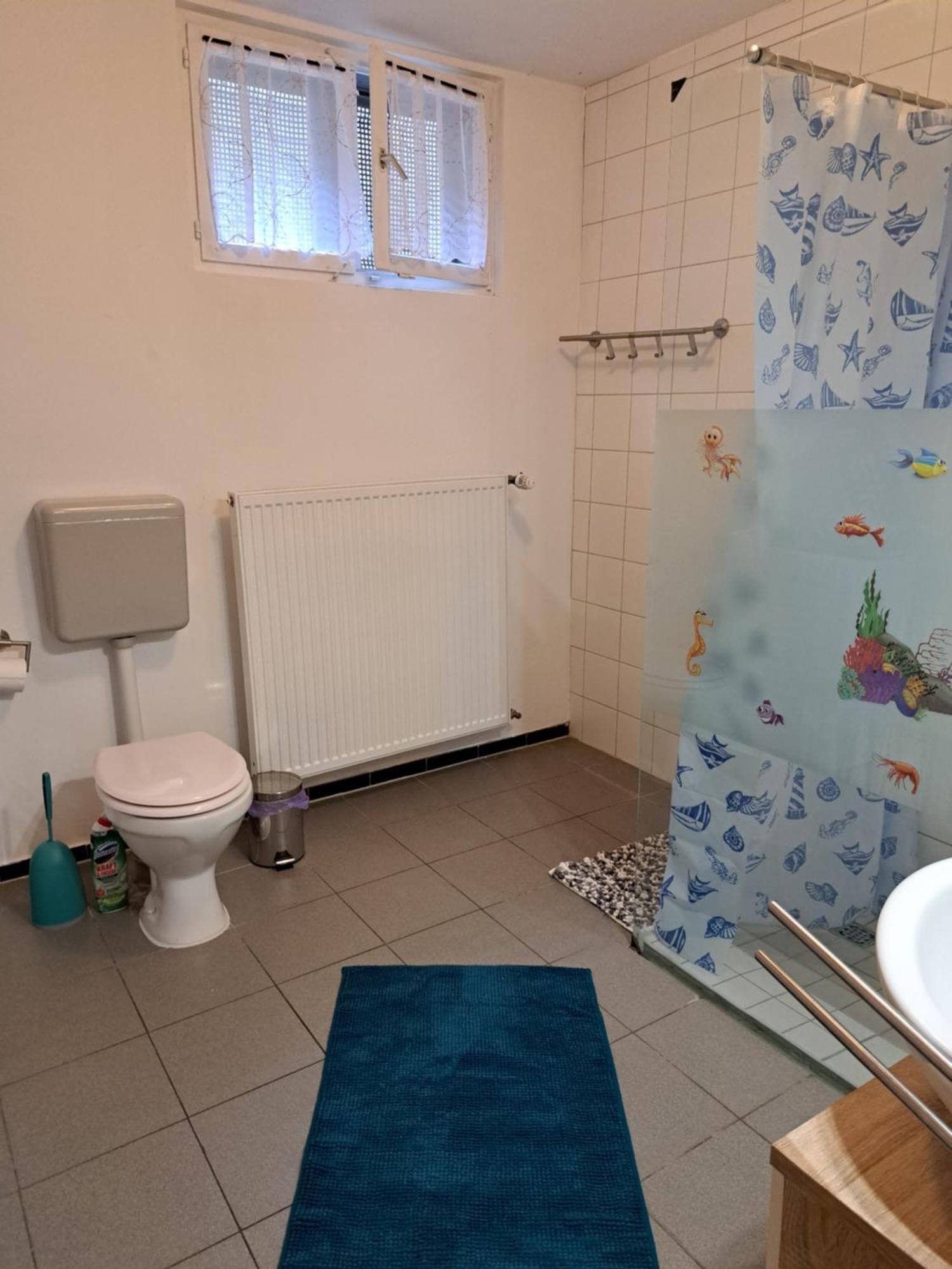 Wohnung Mit 2 - 3 Zimmern Ballenberg Ngoại thất bức ảnh