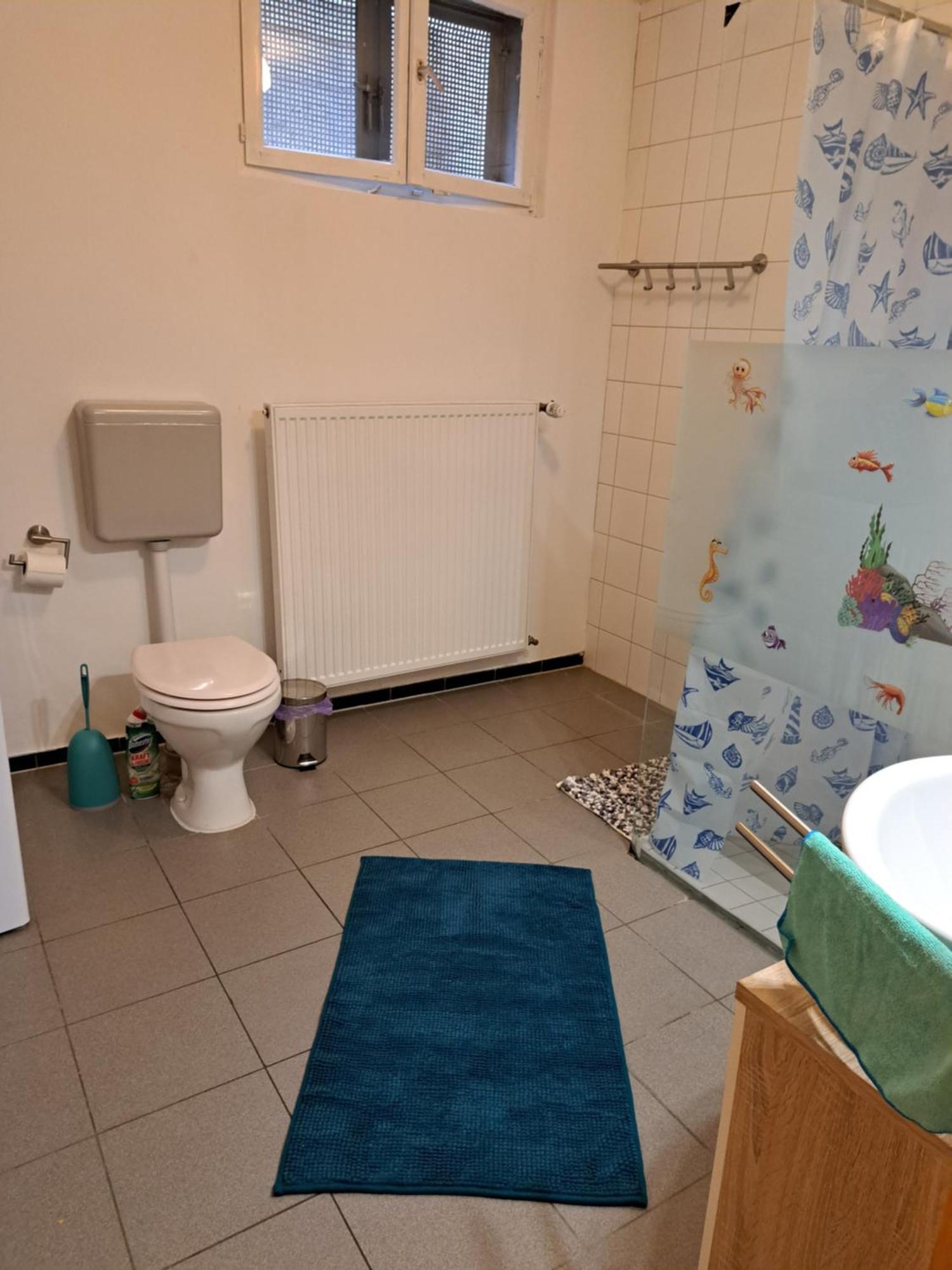 Wohnung Mit 2 - 3 Zimmern Ballenberg Ngoại thất bức ảnh