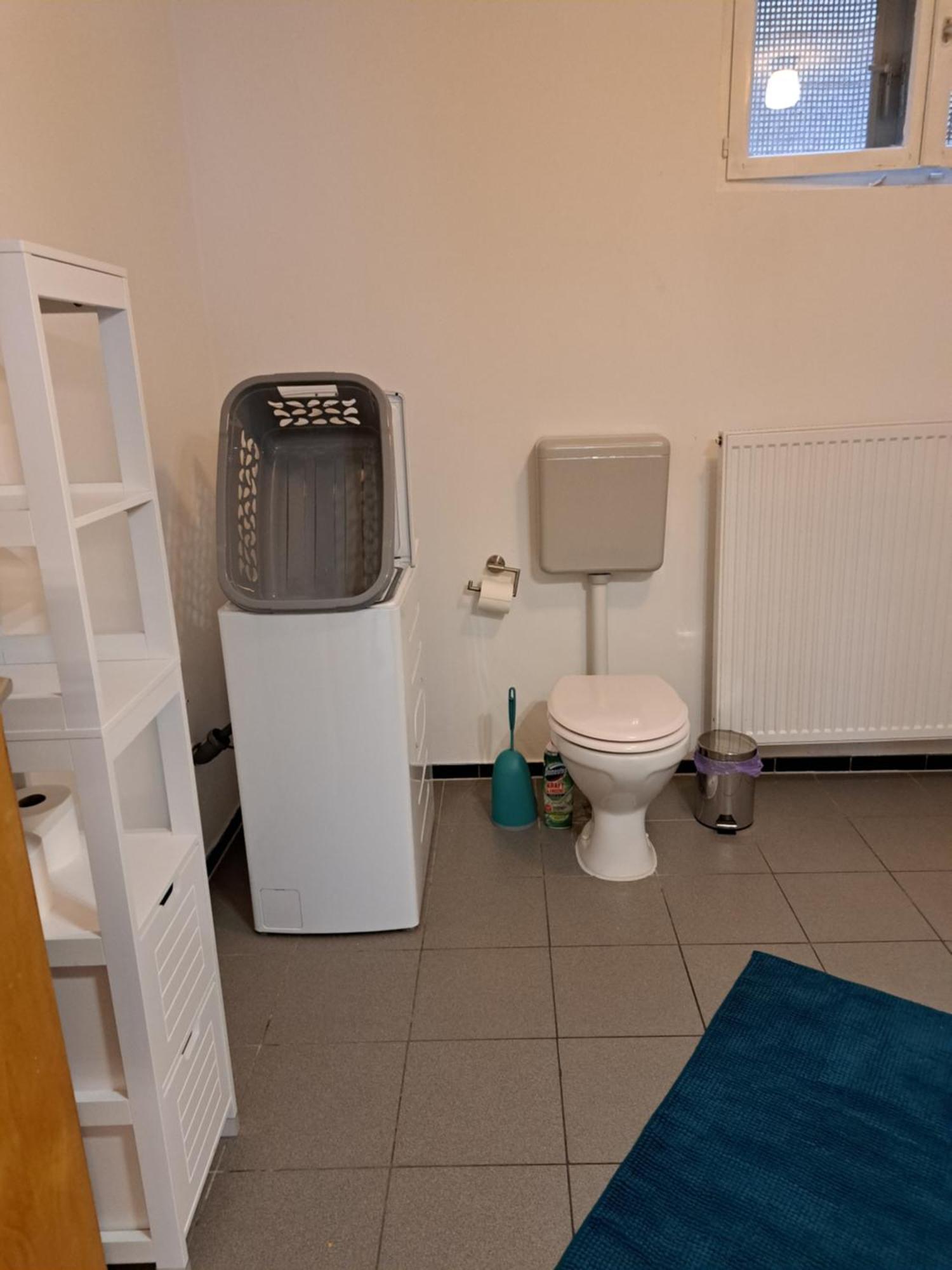 Wohnung Mit 2 - 3 Zimmern Ballenberg Ngoại thất bức ảnh
